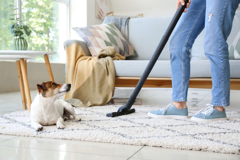 Pet Effective Cleaning